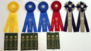 Heady's ribbons from the first ever AKC Scent Work Trials