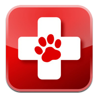 Pet First Aid and CPR Seminar @ Richmond Dog Obedience Club | Richmond | Virginia | United States