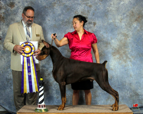 Goblin (UGrCh Tiburon Goblin Moon) - UKC Best In Show